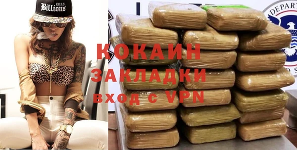 сатива Арсеньев
